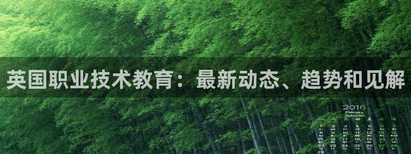 j9九游会登录入口|英国职业技术教育：最新动态、趋势和见解